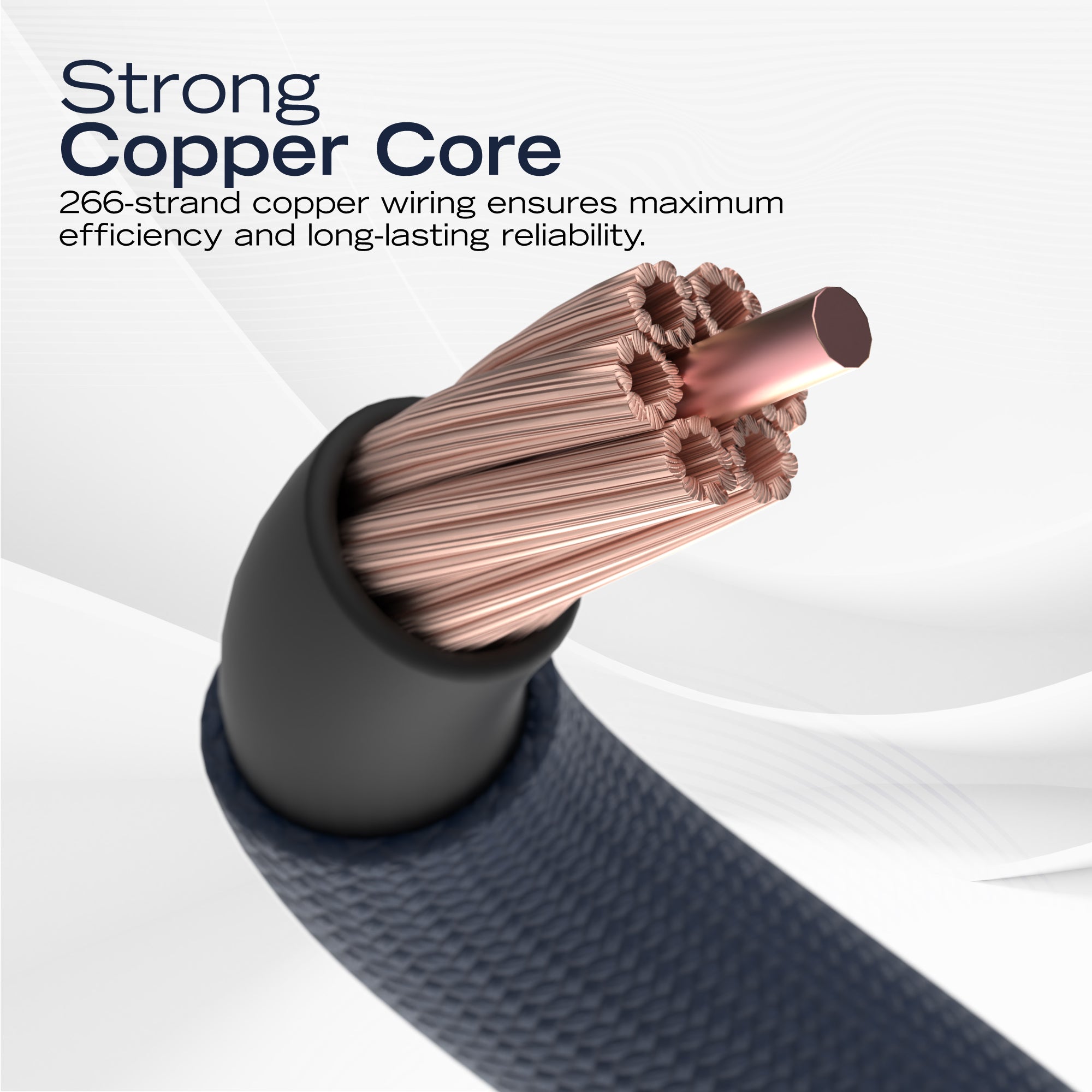 c65 #color_navy1